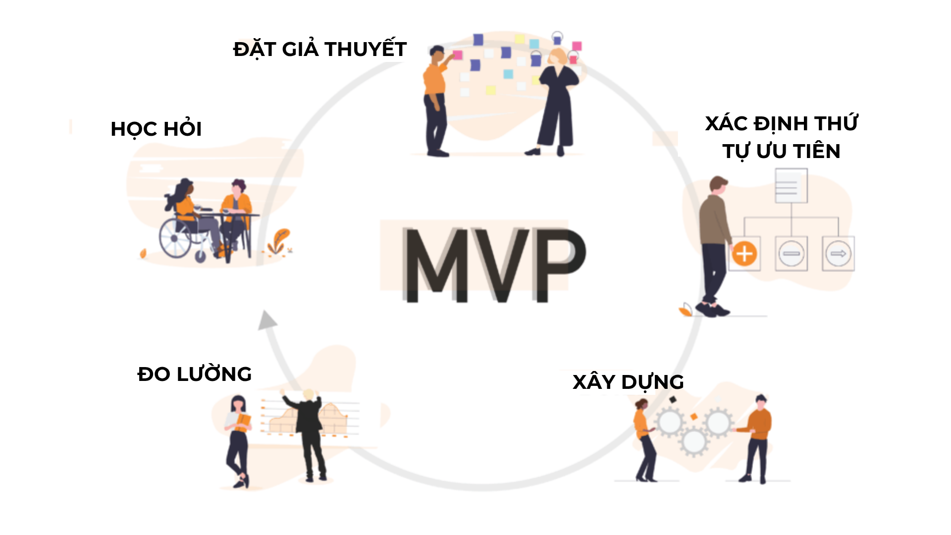 Phản hồi trong MVP